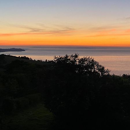 Cliff Lodge Torquay Eksteriør billede